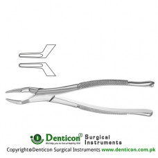 American Pattern Tooth Extracting Forcep Fig. 65 (For Upper Roots) Stainless Steel, Standard